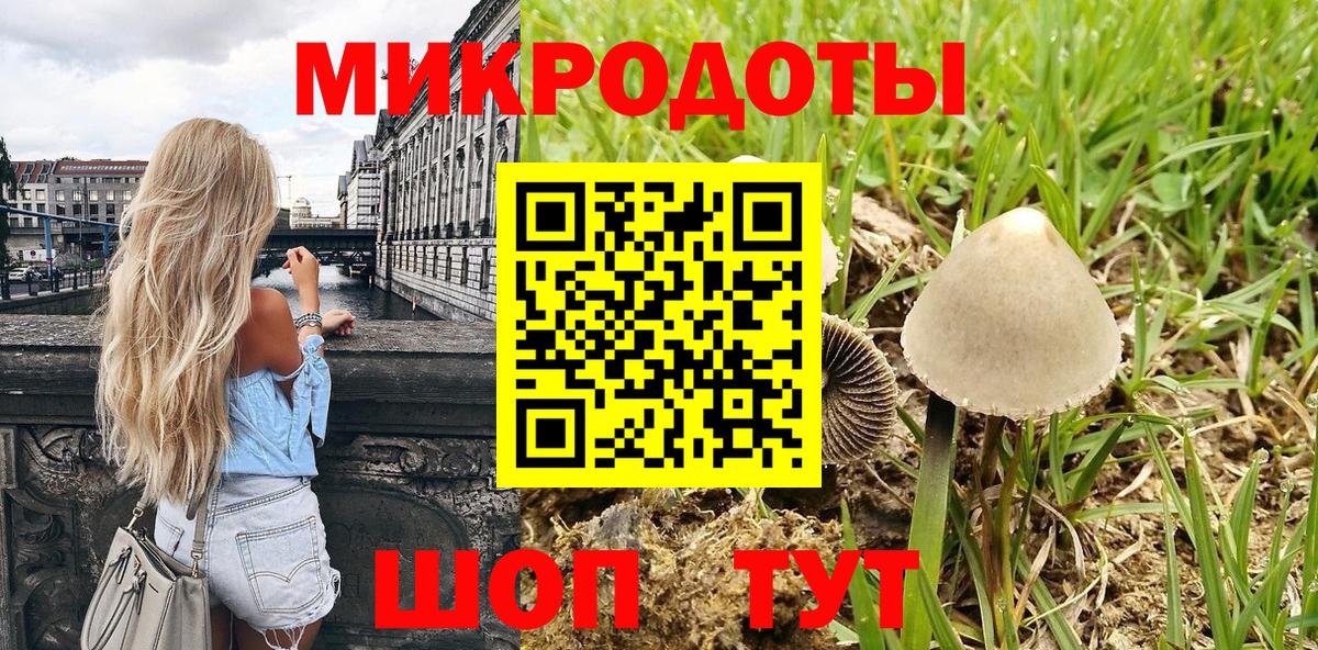 Галлюциногенные грибы Cubensis Арзамас