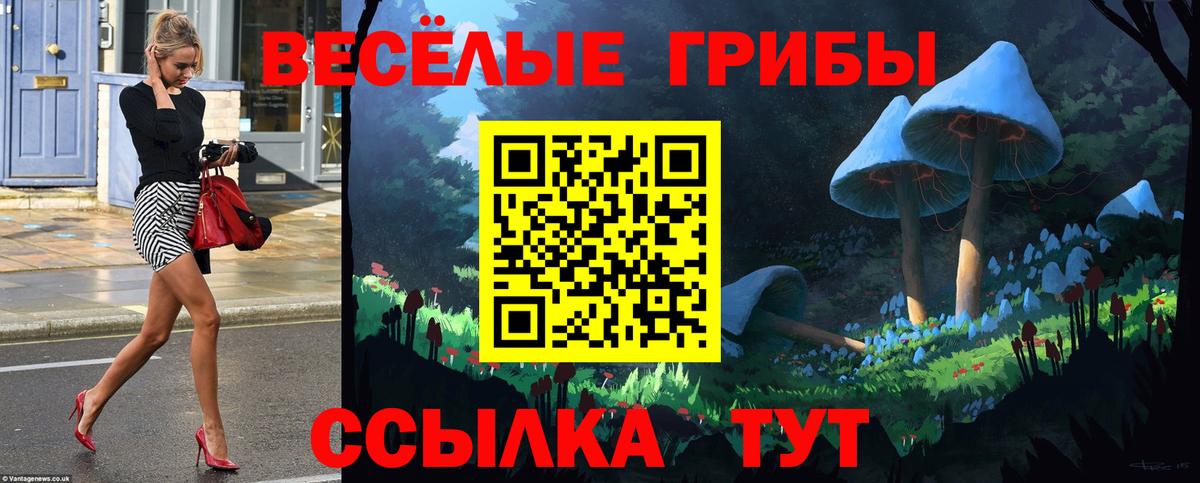 Псилоцибиновые грибы ЛСД  цены наркотик  Псилоцибиновые грибы мухоморы  Арзамас  Вход с VPN 